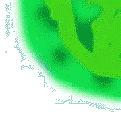 Photosynthese