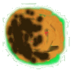 Wüsten Planet